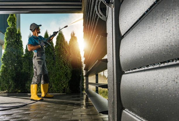 Best Roof Pressure Washing  in Bigfoot, TX