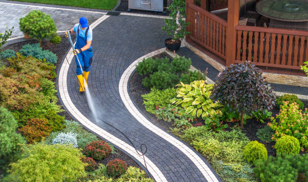 Professional Pressure Washing in Bigfoot, TX